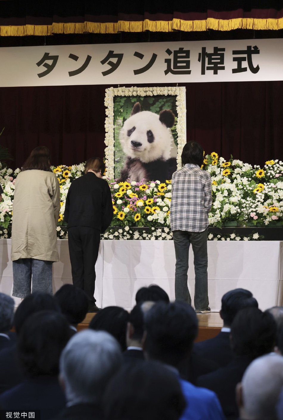 日本为旅日大熊猫“旦旦”举行追悼会_高清图集