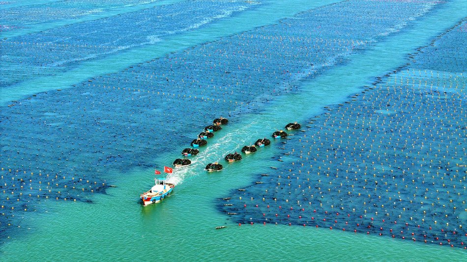 山东威海：以海为田开辟“蓝色经济”新途径_高清图集
