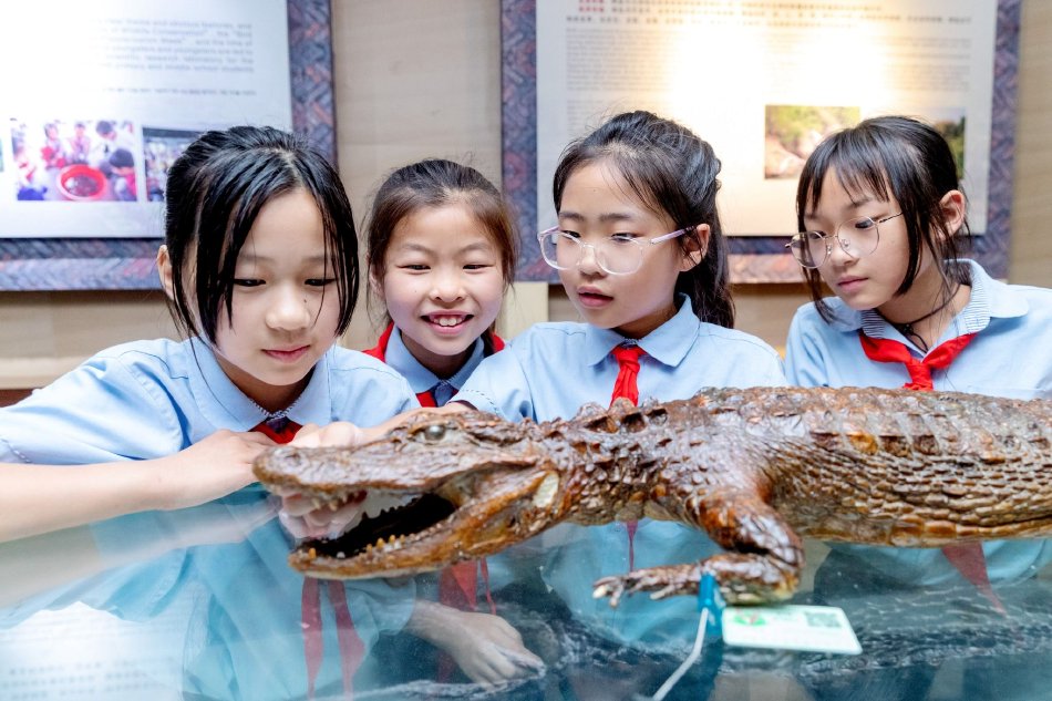 浙江长兴：学生参观扬子鳄博物馆_高清图集