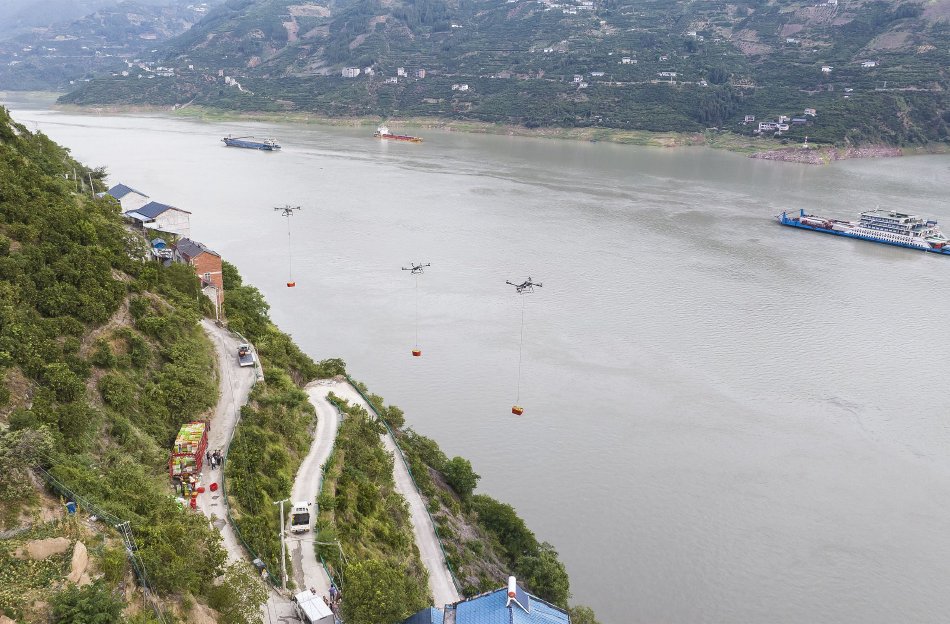 湖北宜昌：三峡库区夏橙丰收_高清图集