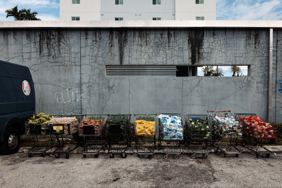 美国政府“停摆”持续 民众在食品银行领取救济粮_高清图集